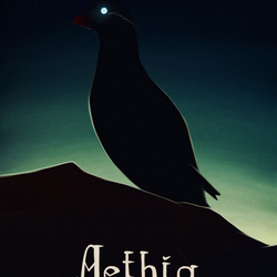 Aethia