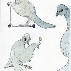 Иллюстрации