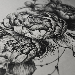 peonies