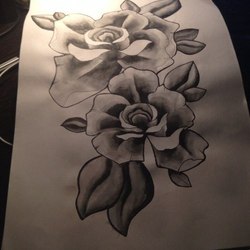 Розы олд скул