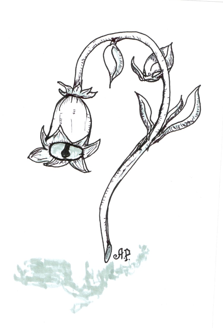 “Колокольчик"