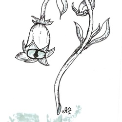 “Колокольчик"