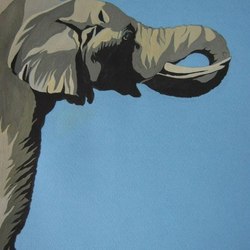 "Африканский слон"