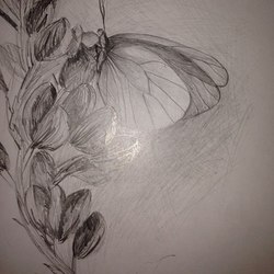 Портрет природы