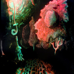 Галлюцинации Ночных Улиц 