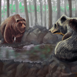 Bears