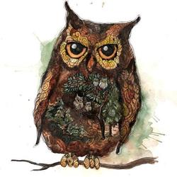 Сова с секретом