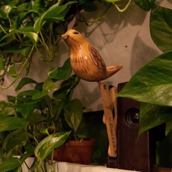 Кукушки для кафе "ОБЕД БУФЕТ" Гинза проджек