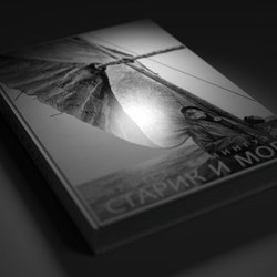 Визуализация книги с авторской обложкой