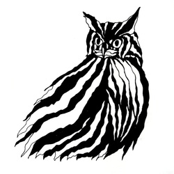 Owl 6