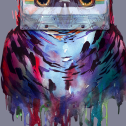 Stereowl