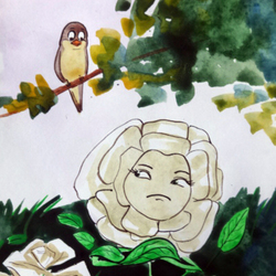 Кукушка и роза