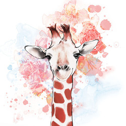 giraffe