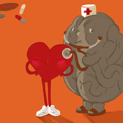 Сердце & Мозг