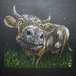 "Мурка" 2009 г.