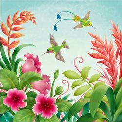 Цветы и колибри