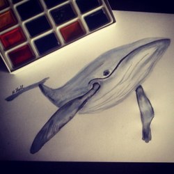 Акварельный кит