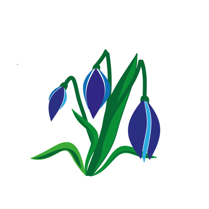 Иллюстрация подснежники в стиле классика | Illustrators.ru