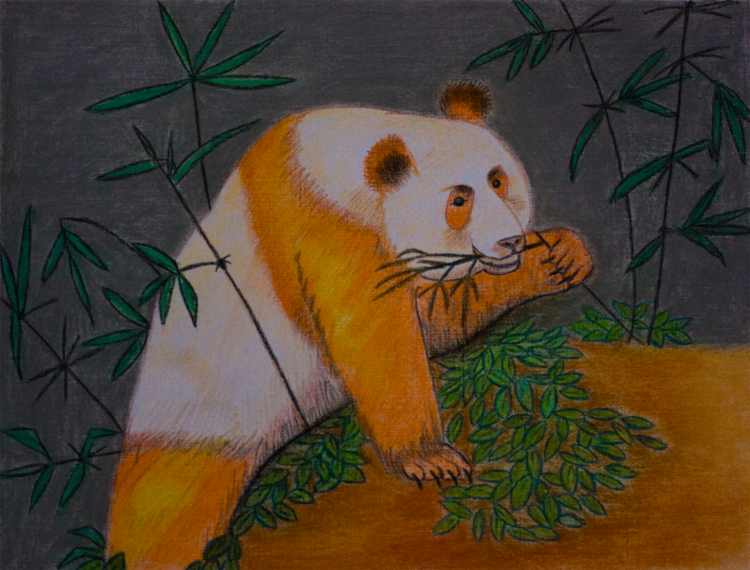 Панда
