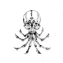 spider skull 