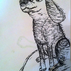 Маленький пес