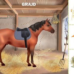 Домашние животные