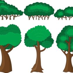 Деревья и кусты