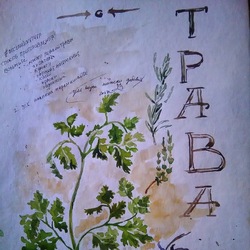 Трава