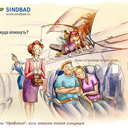 sindbad.ru