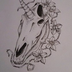 Череп единорога