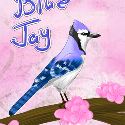 Blue Jay