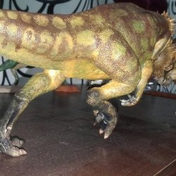 самцы пахицефалозавра ( Pachycephalosaurus wyomingensis)