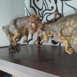 пахицефалозавры  (Pachycephalosaurus wyomingensis)