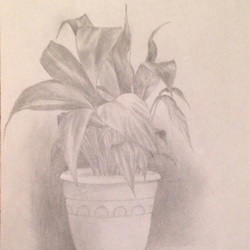 Цветок в горшке