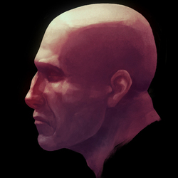 Male Head Study