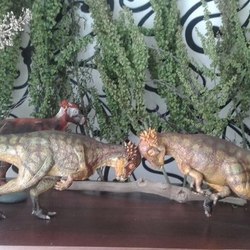 Пахицефалозавр