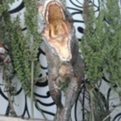 Тиранозавр-рекс