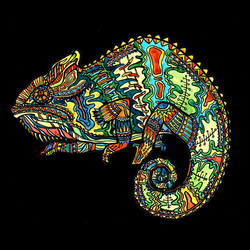 Принт "Хамелеон" на одежду.