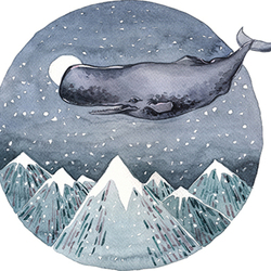 Кашалот. Из серии киты.