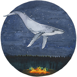 Из серии киты.