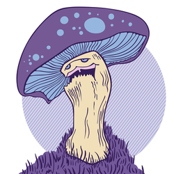 Grumpy Mushroom