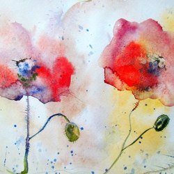 Маки шепчутся