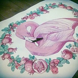 фламинго в гранатовом соусе 