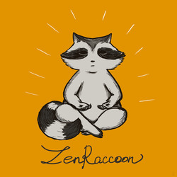 ZenRaccoon