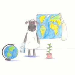 Я фотограф !