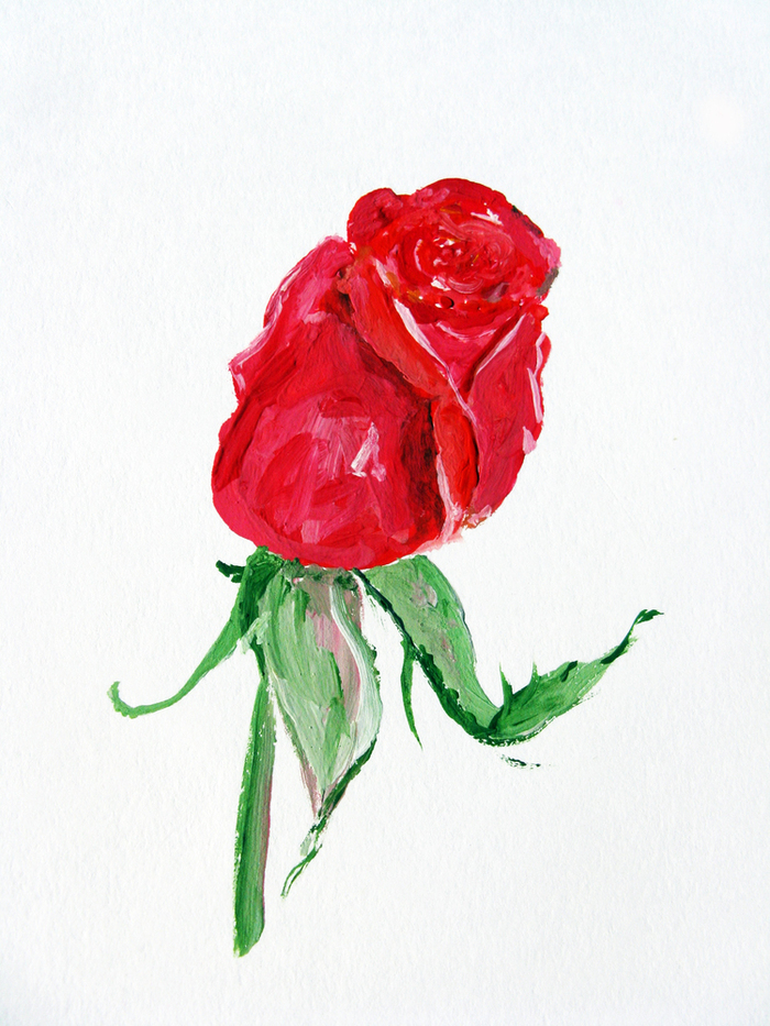 Нарисовать розу гуашью