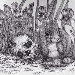 Irises, a rabbit and a skull