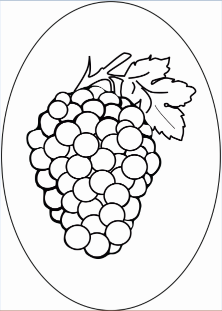 Иллюстрация Виноград в стиле детский | Illustrators.ru