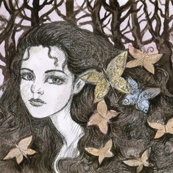 таинственный лес