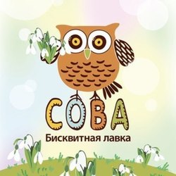  сова весна